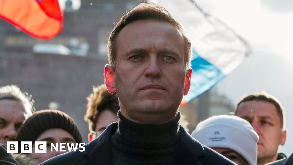 Navalny’s body returned to mother 8 days after death